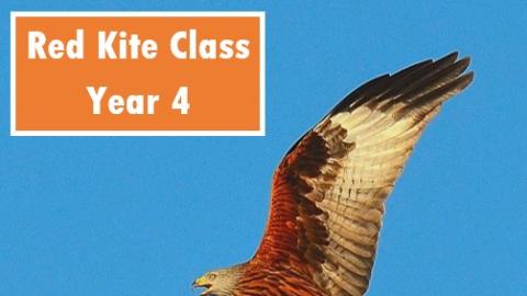 Red Kite Class sign